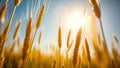 THE LIVING GRAIN PDF