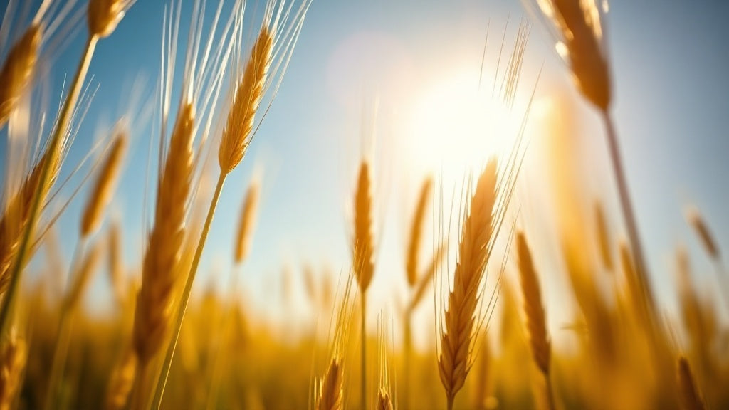 THE LIVING GRAIN PDF